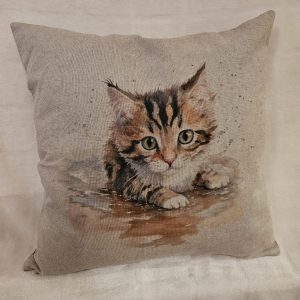 cat crouching in puddle cushion