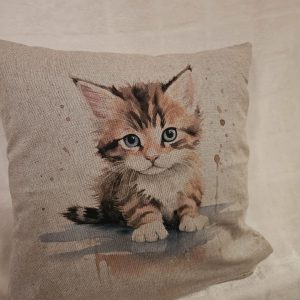 cat sitting in puddle cushion