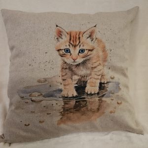 cat walking through puddle cushion