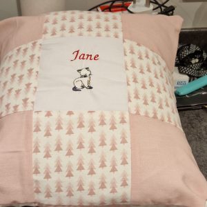 pink jane cat cushion